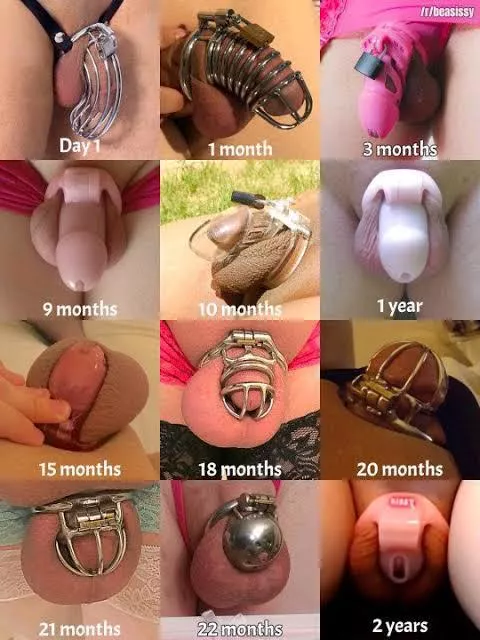 The progression of a chastity cage journey! posted by Suspicious_Curve5780