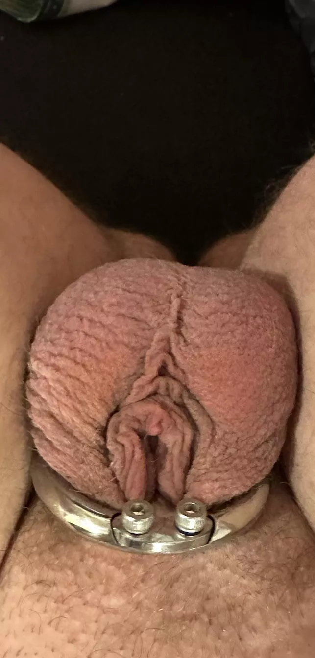 This cage feels so hot posted by Tg_sandra