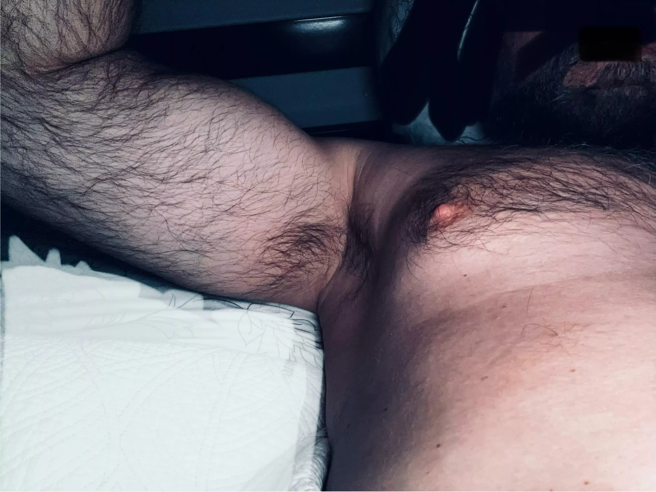 Too hairy? posted by BeardedBaldJay