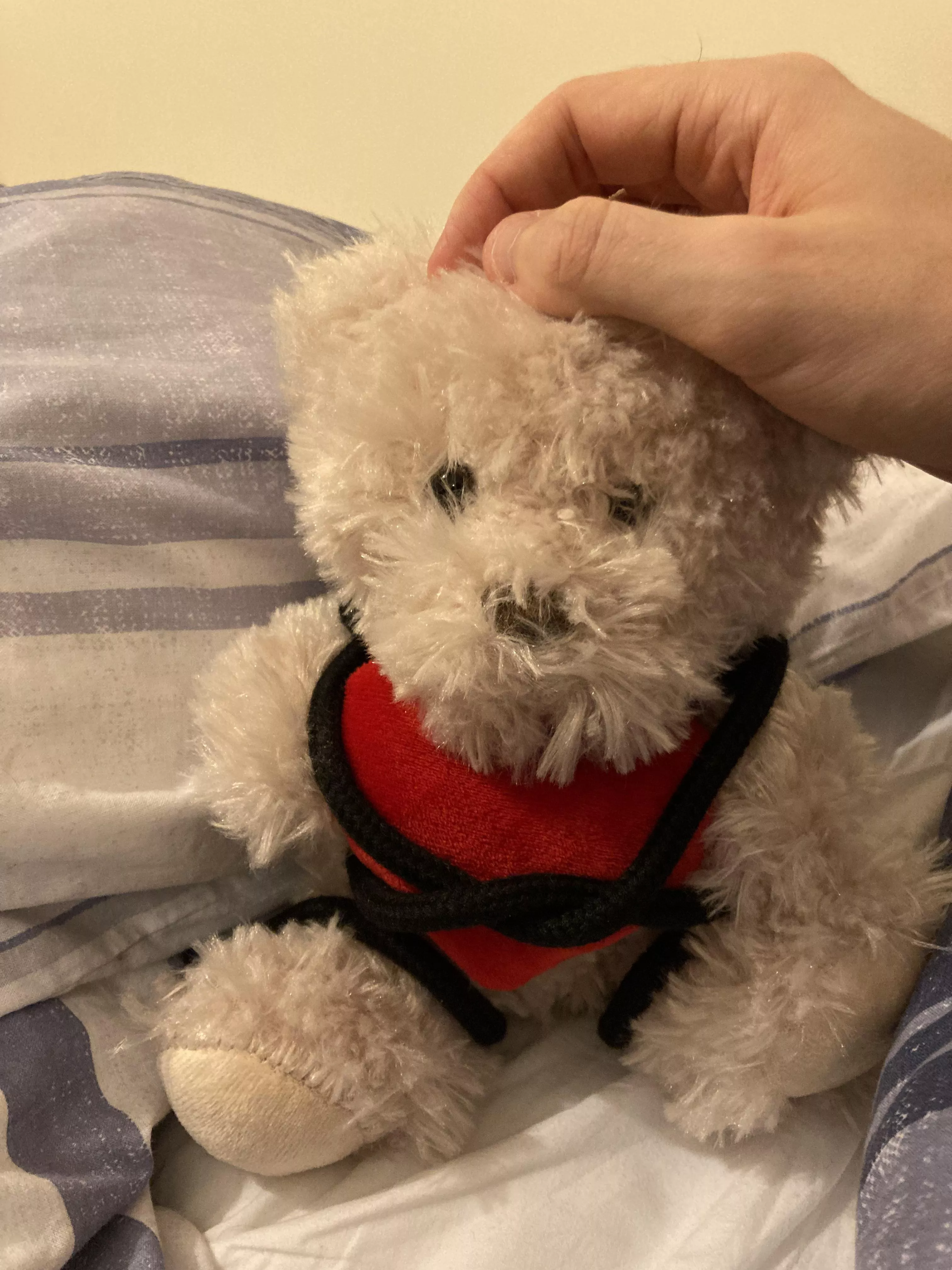 Valentines Blues came early this year (for this Msub)💘🥺, but luckily I had a this lil one 🥰🙈. Don’t worry, got the aftercare they needed 🧸❤️🤭. The lesson is even when single you can explore, try and learn new things by yourself (s posted by subbyslave97