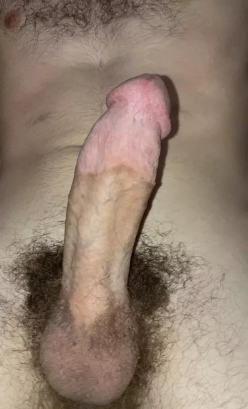 What y’all think? [25] by Slick_Pickle404