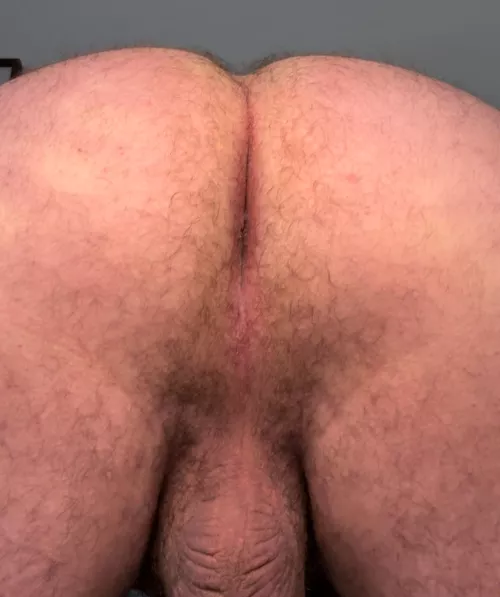 Would you eat it? by Midcitiesbiguy987