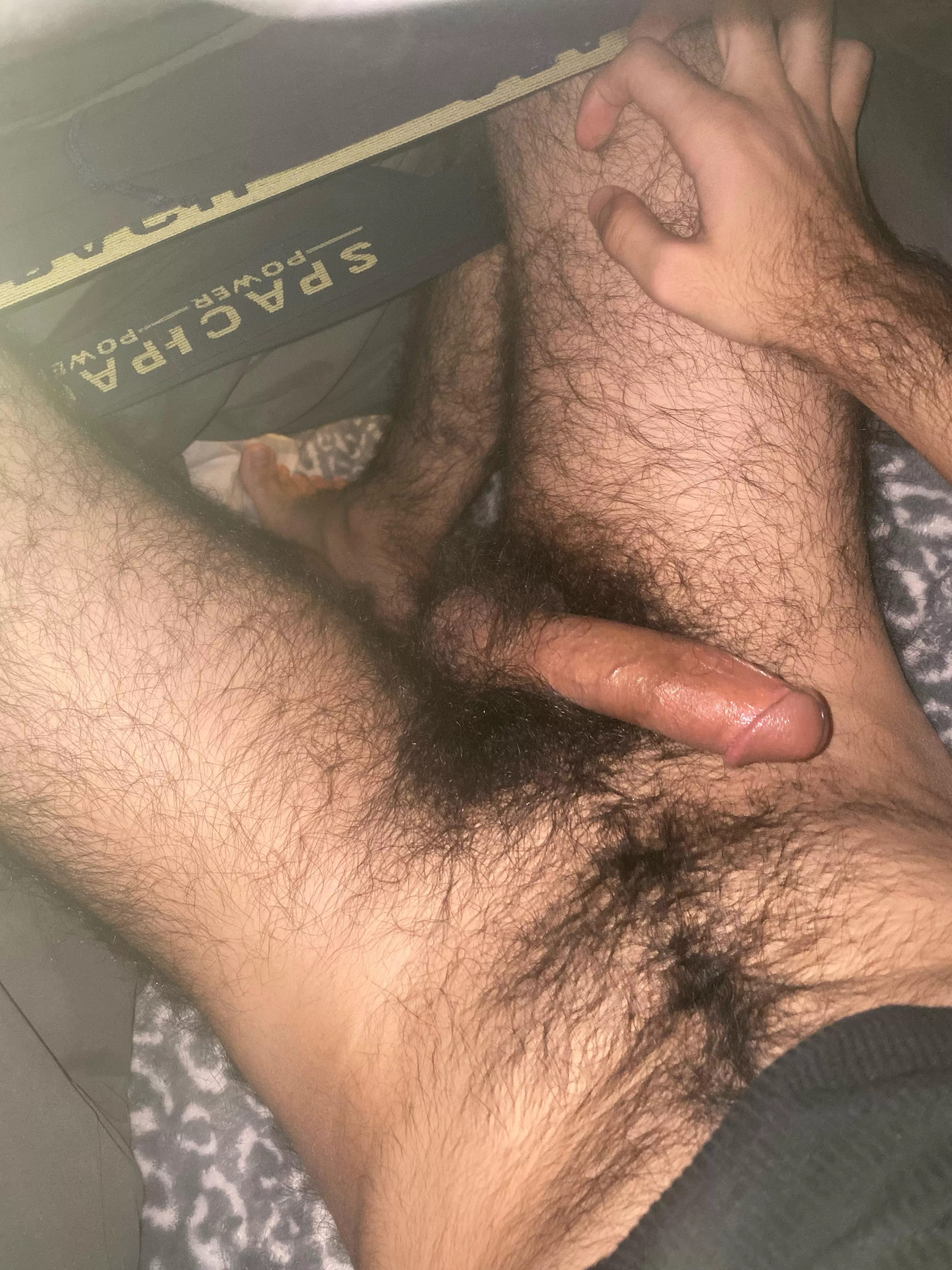 19, wanna luck this fur? posted by Beary19guy