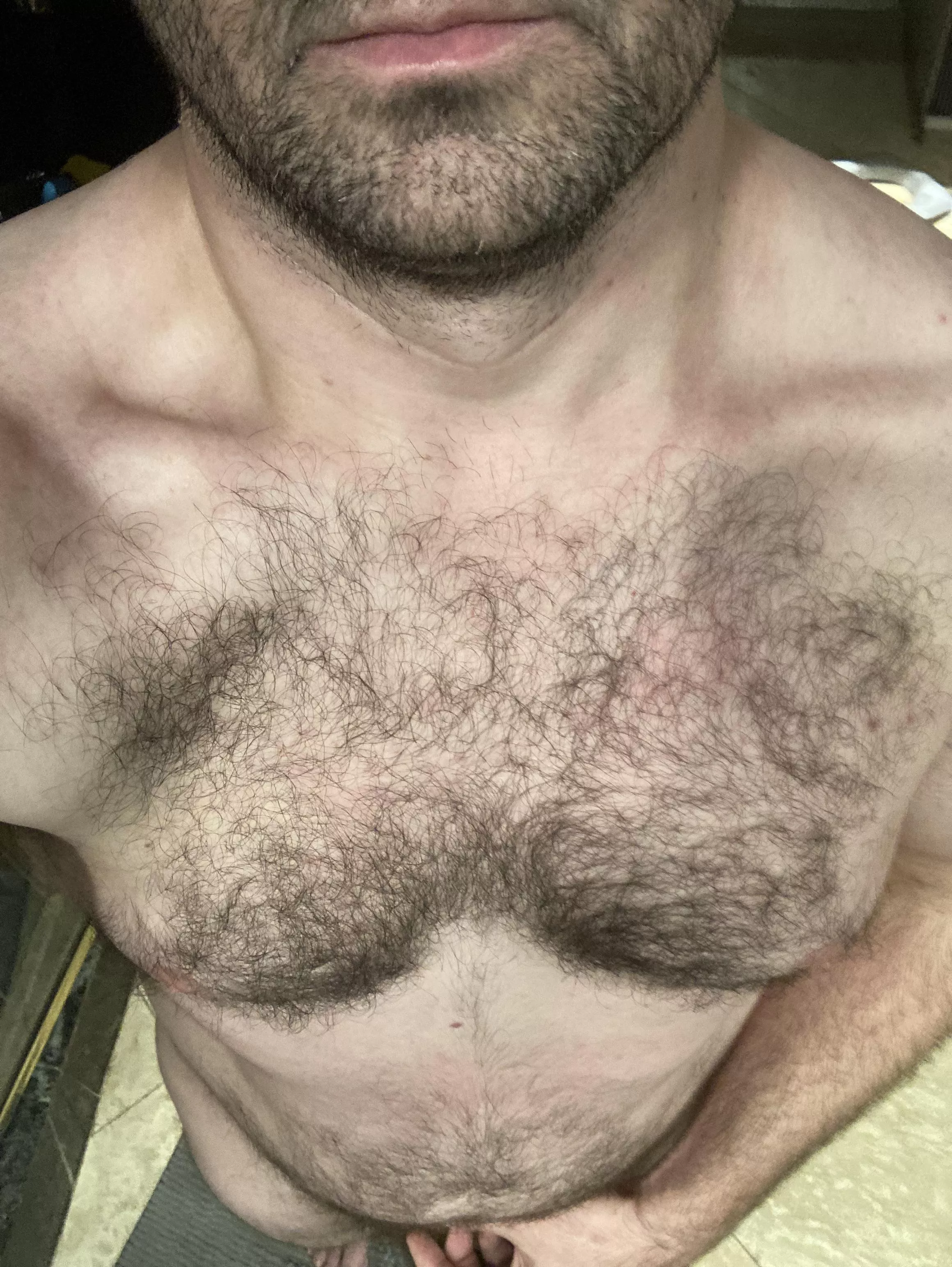 (36) Dadbod with a hairy chest… posted by DFWCowboy88