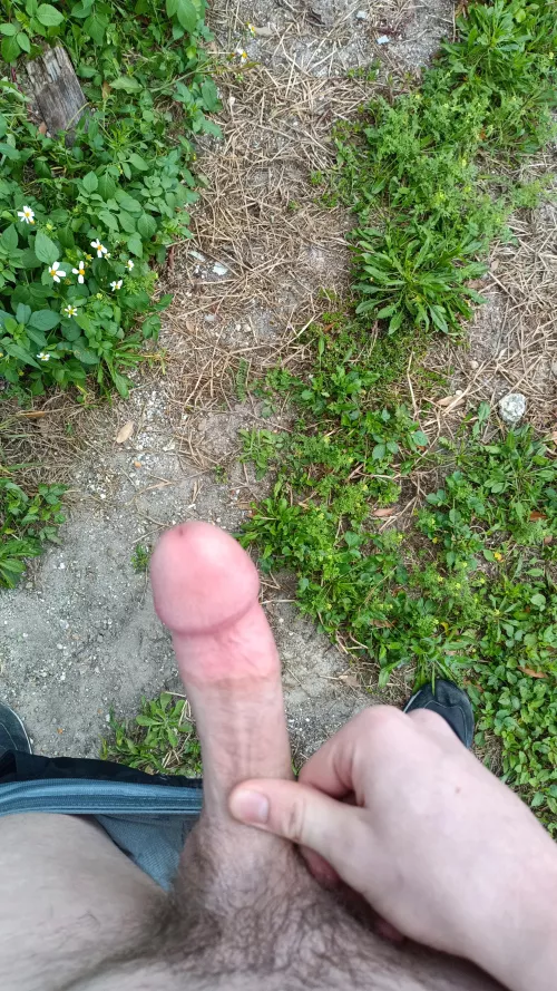 A little cold out today by Ok-Estimate-5788