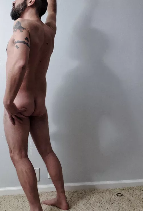 Ass Wednesday. That is all. by SydneyRiverside