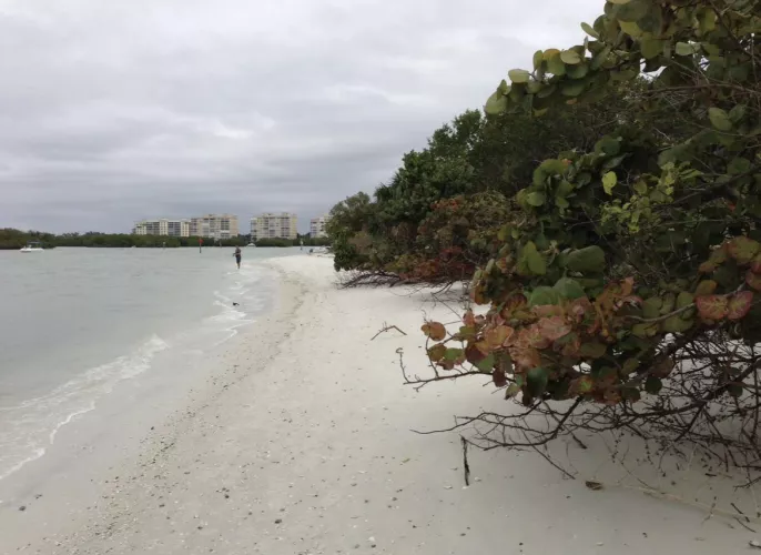Cloudy Beach Day by Altruistic_Advance90