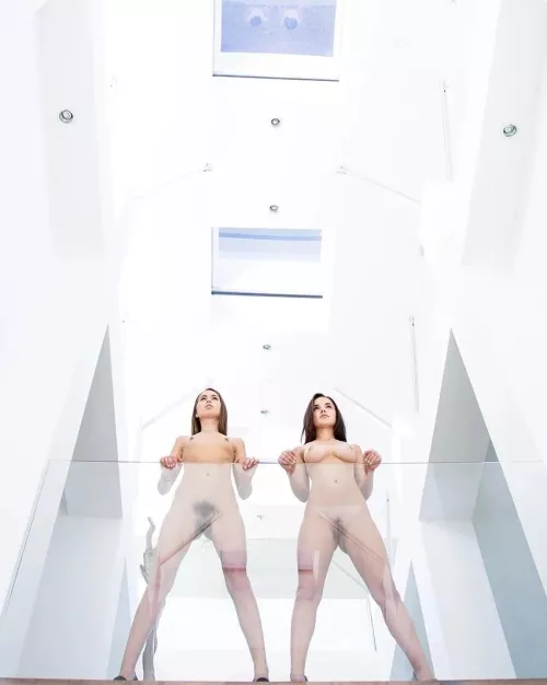 Dillion Harper and Riley Reid by TheSecretNaame