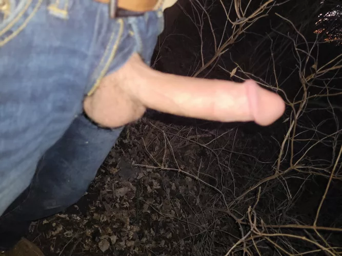 Does on the hiking trail count as public? by lil_winky