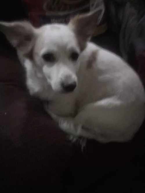 Hungry need help by Lower_Potential_4322