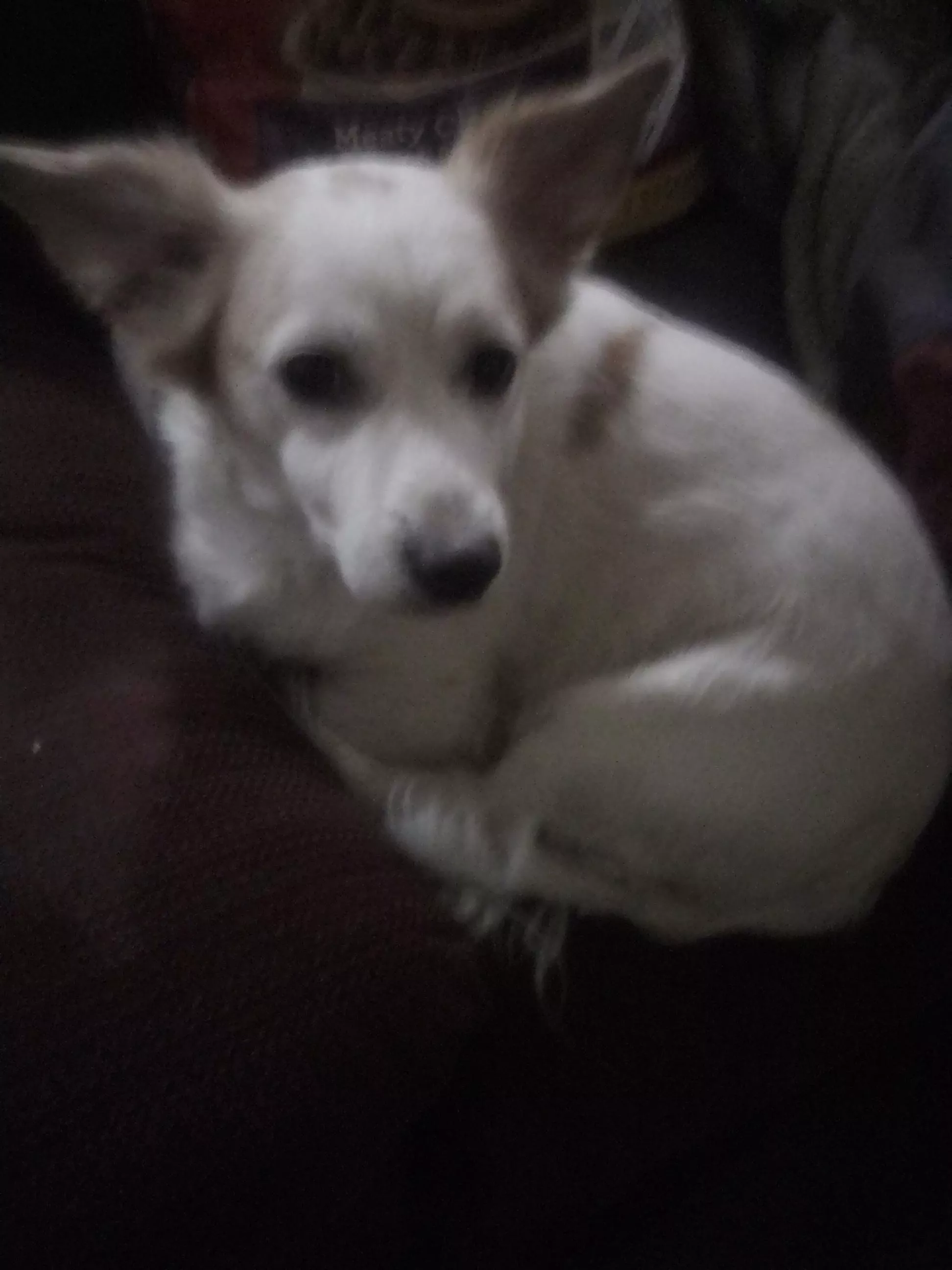 Hungry need help posted by Lower_Potential_4322