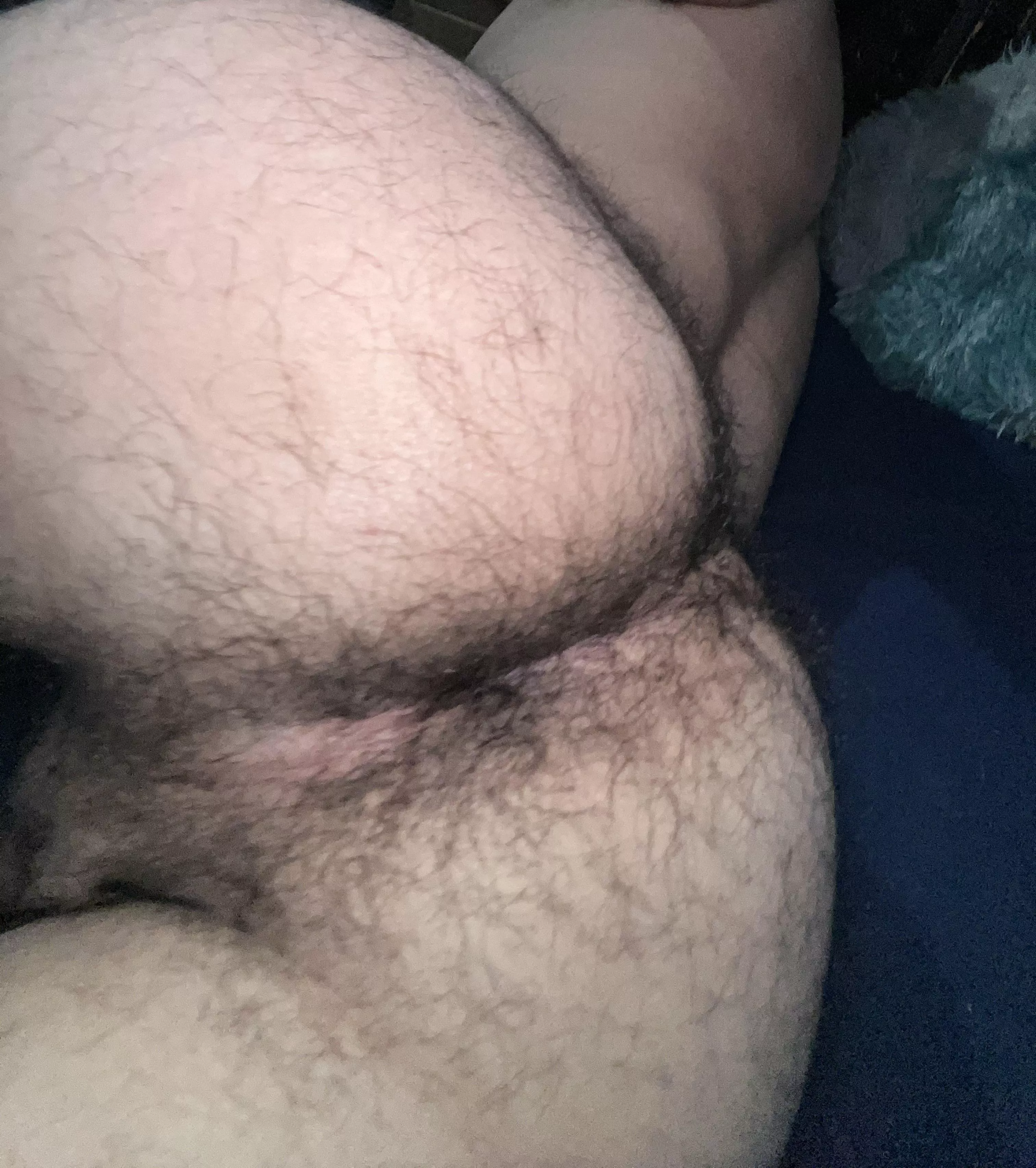 I love my hairy ass posted by mexguy11