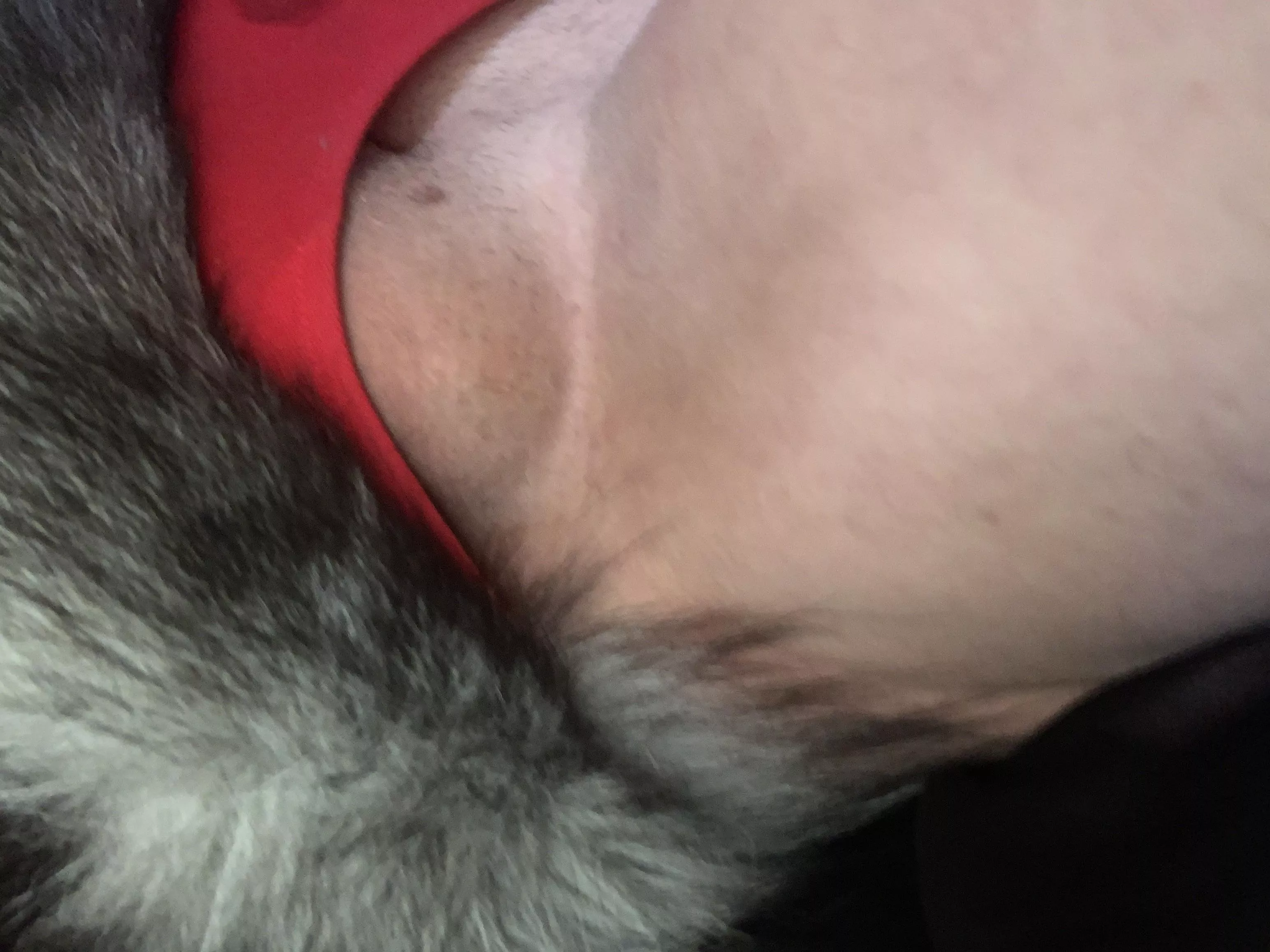 I love the feel between my legs 😻😻 posted by Gtlobo