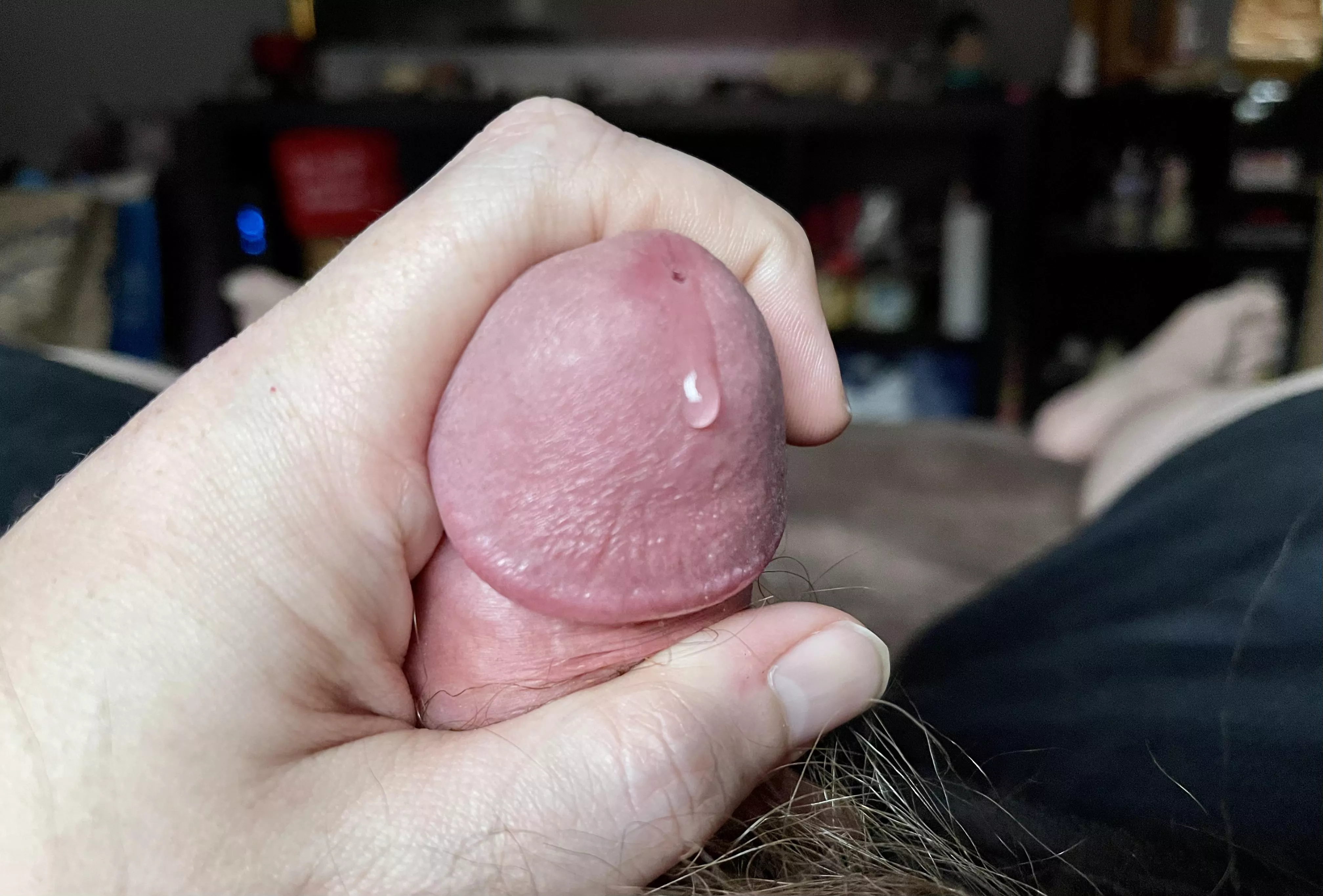 Just the tip posted by Little-Willie-6969