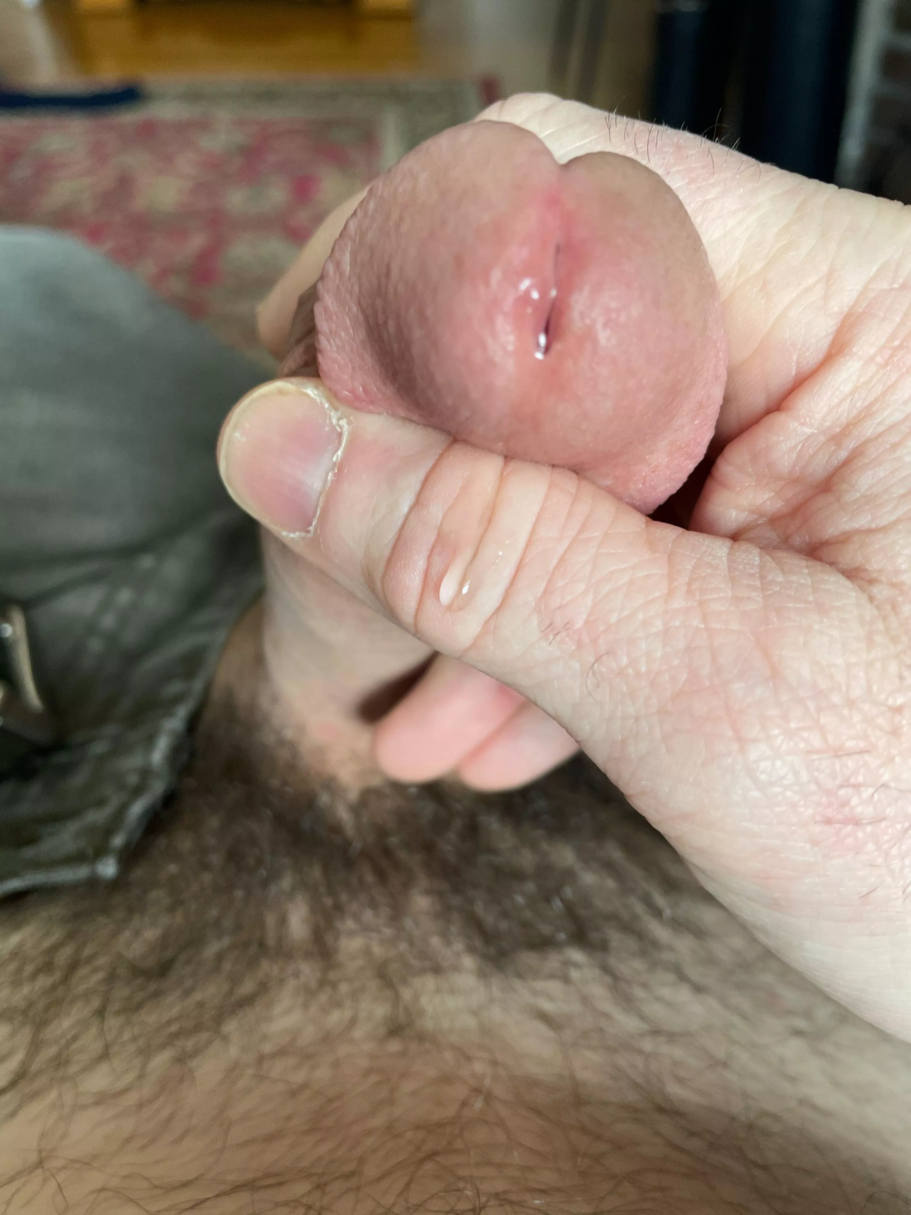 My (49) dripping Jewish dad cock. posted by Obvious-Start1616