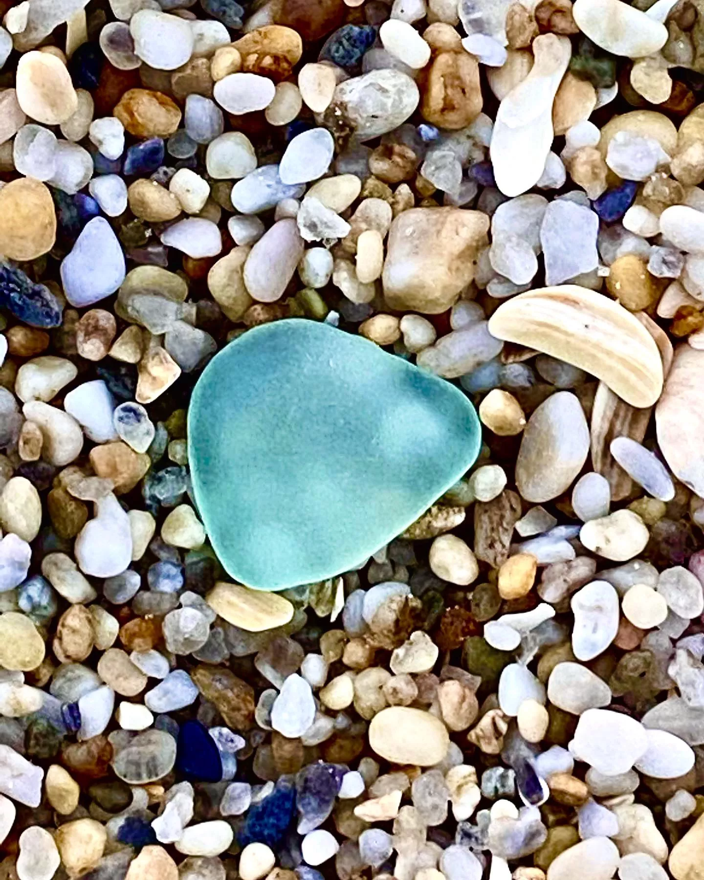 Pretty little bauble 🤙🏻🎶🎶😎 posted by bronxboy59