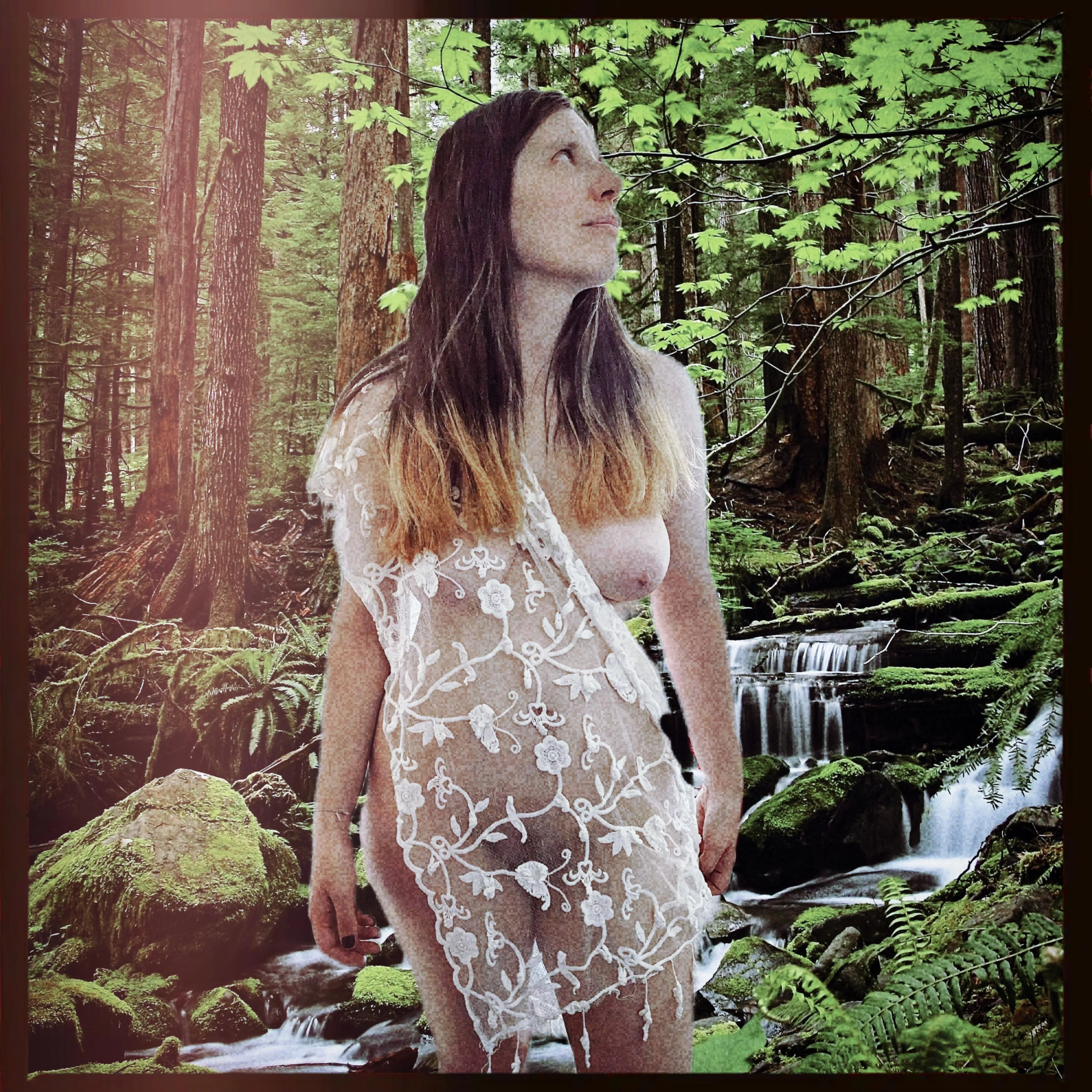 Soaking up the forest posted by MedeinaXLeonard