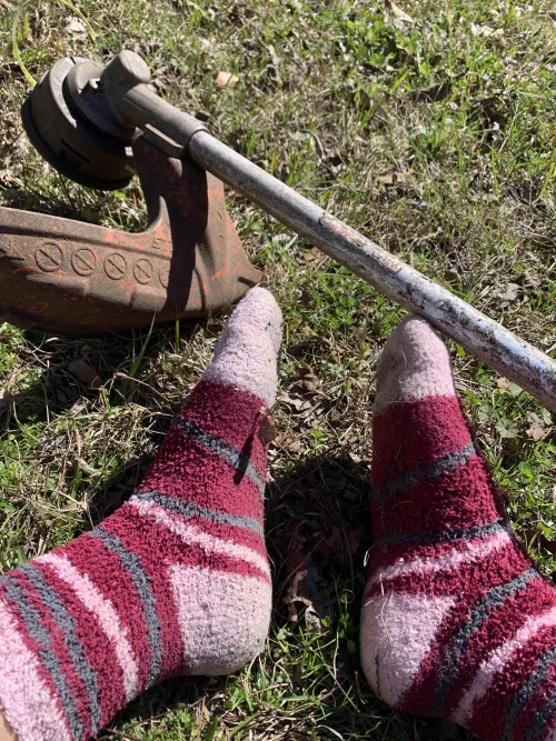 Stinky Landscaping Socks:P [selling] [F] by LandscapingAngel