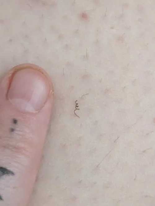 Super tight curly one from my neither regions compared to my pointer finger nail OC by Analiebaby