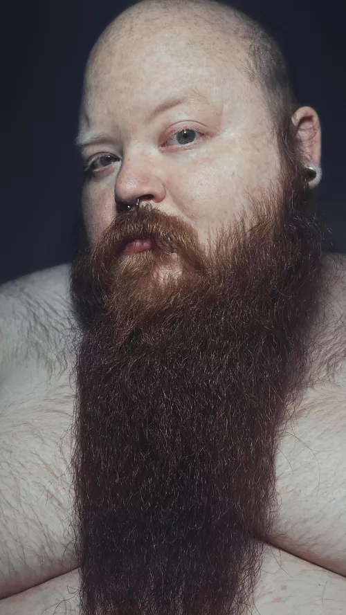 Thoughts on Big Bearded Ginger's by Wolvenking9