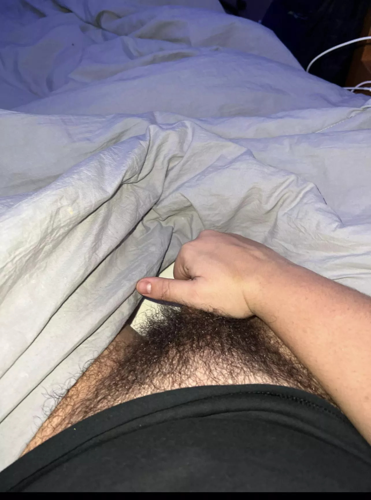 Thoughts on this college bro bush? posted by Desperate_Formal_685