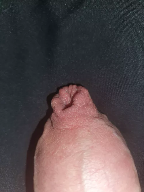 Who want to play with the tip by ExpensiveParts7330