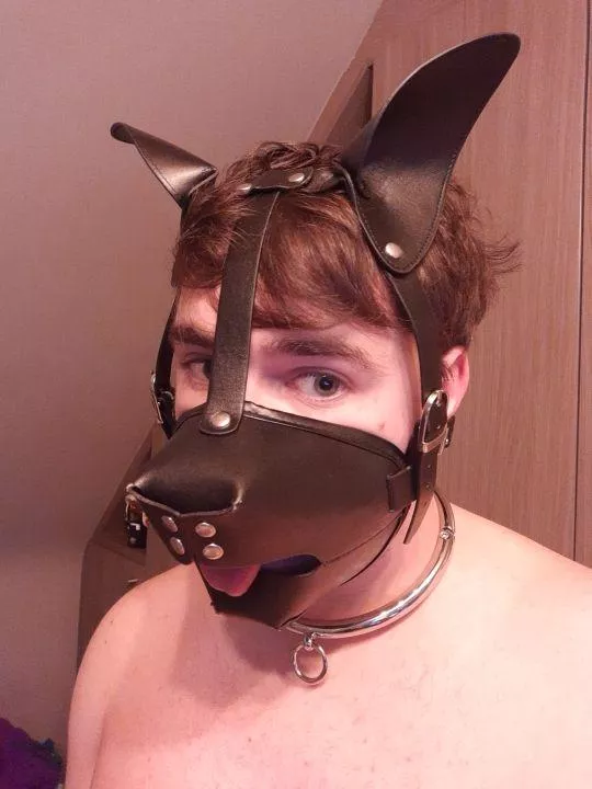 Woof woof posted by MikePersonals