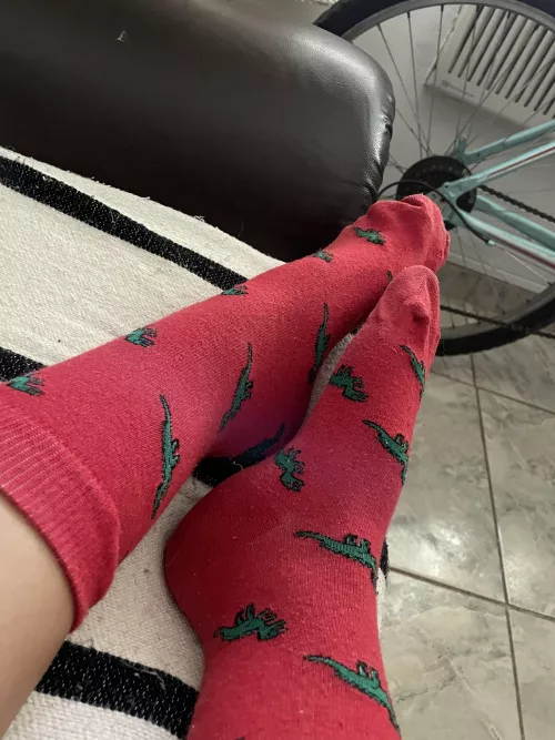 Would you like me to put my feet on your face? by ShineQueen_