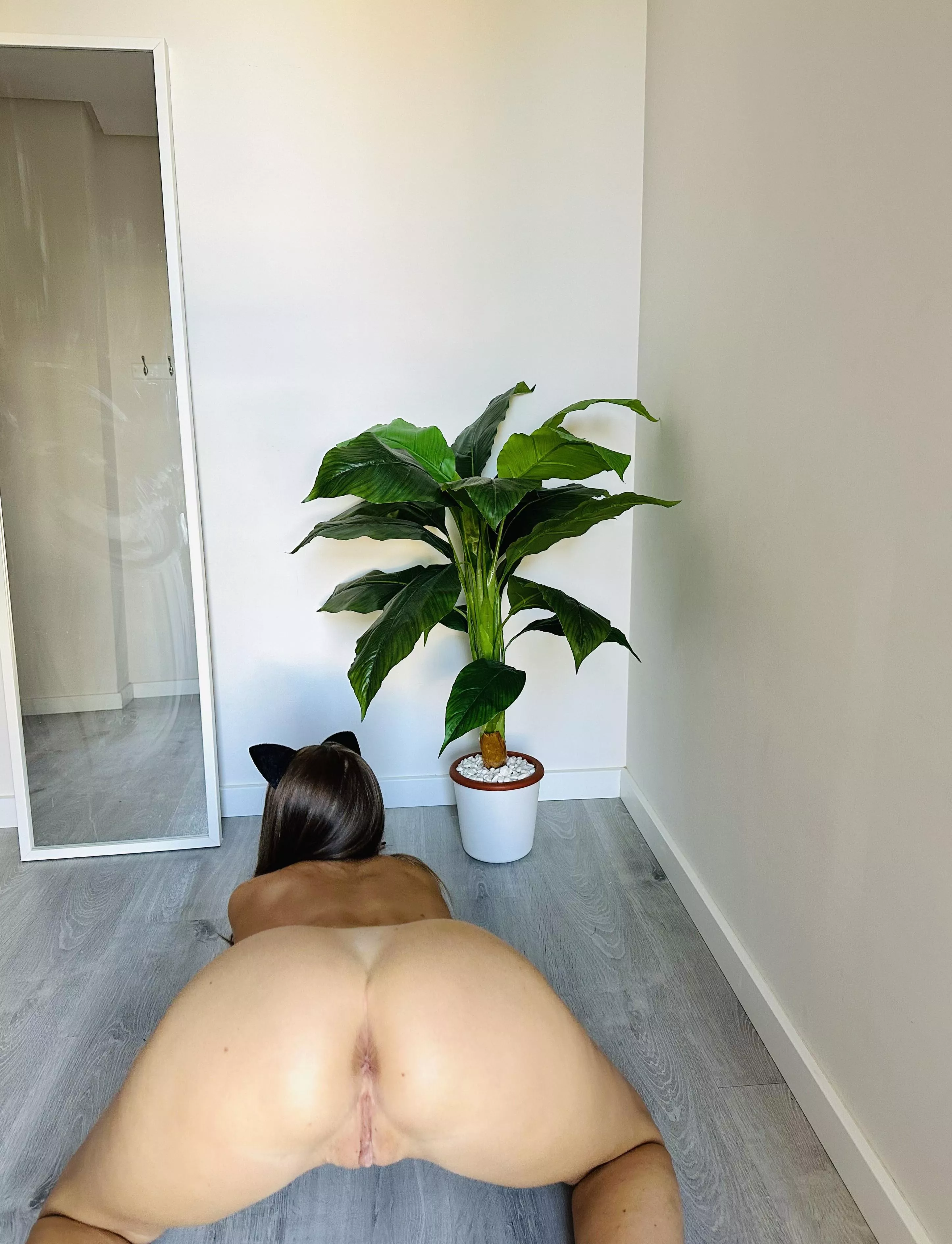 You can also take a cat like a dog posted by Asciticpondweed