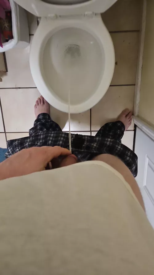 A little drunk wishing i was the toilet by silentcar76