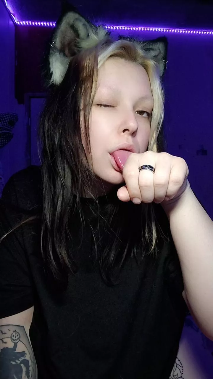 Can I be your black cat gf? 🐈‍⬛🫀 posted by DaddysKoshka