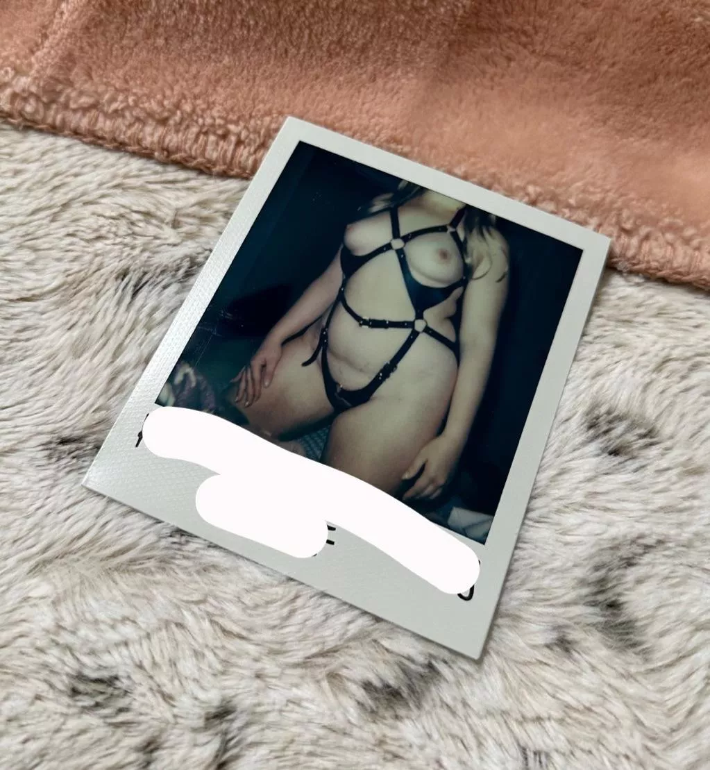 do people still like bdsm polaroids? posted by Friendly-Macaroon415