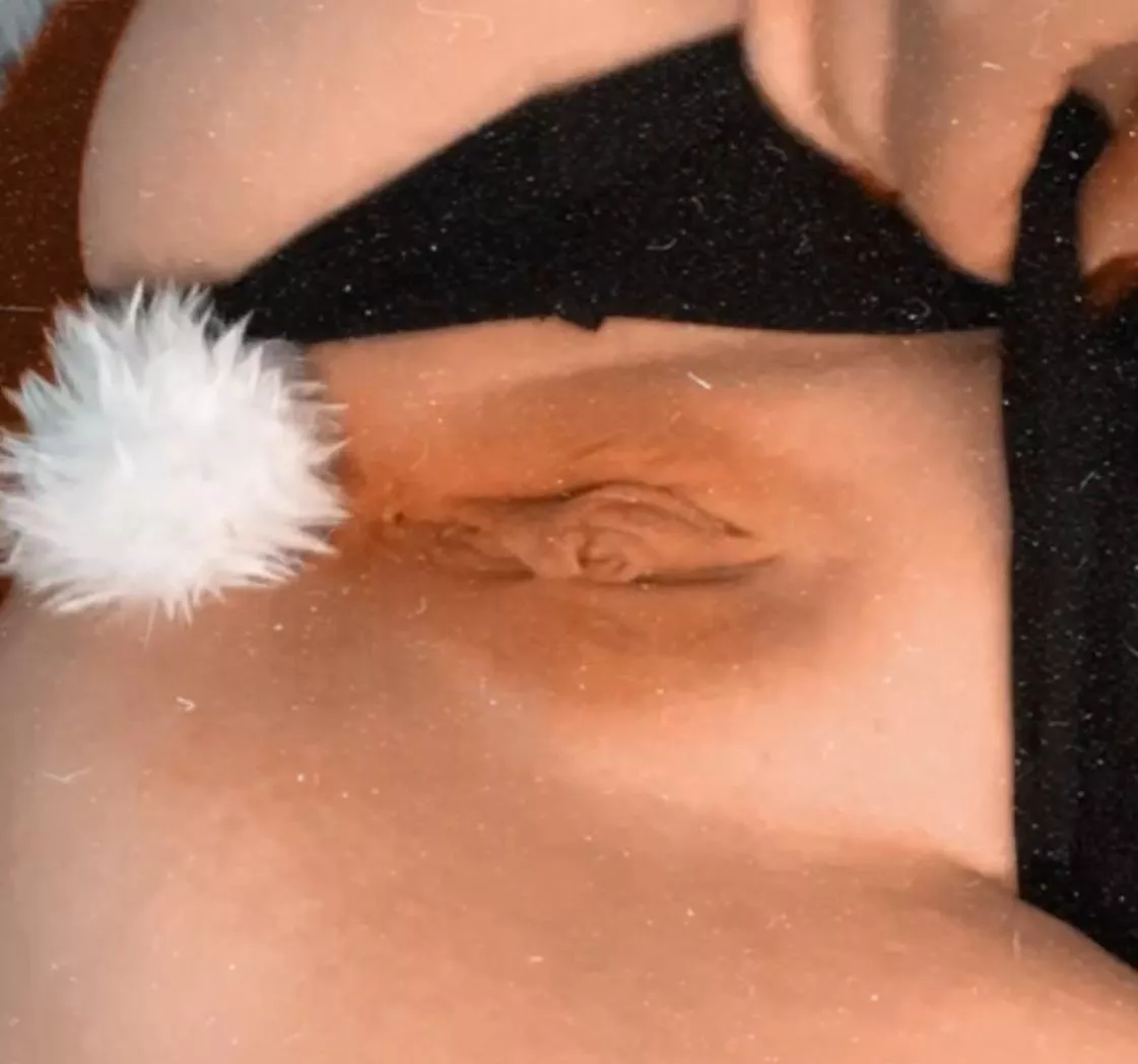 Do you like bunnies hehe posted by Dainty-Bunni_