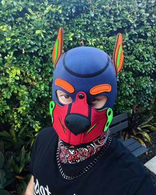 Good Puppy 🐾 by ukaussie69