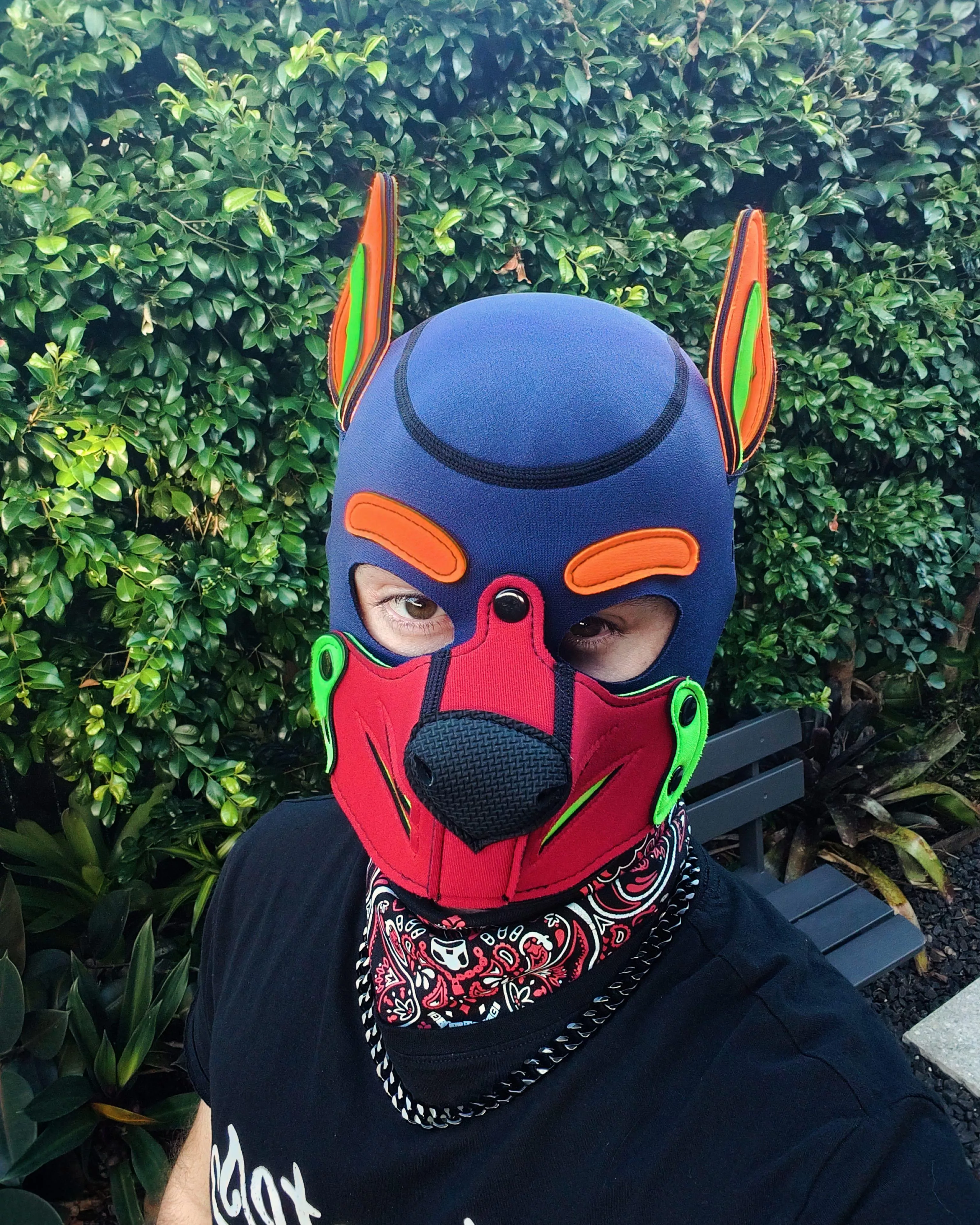 Good Puppy 🐾 posted by ukaussie69