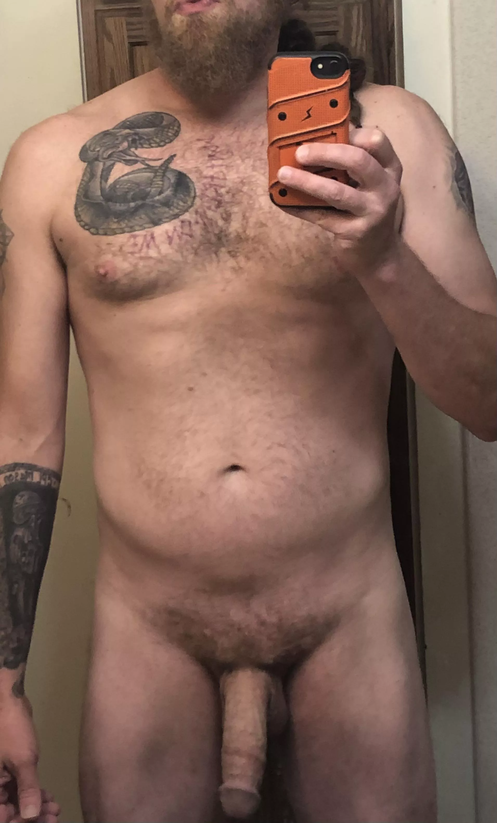 How would you like to spend this cold rainy day? posted by TinmanAA82