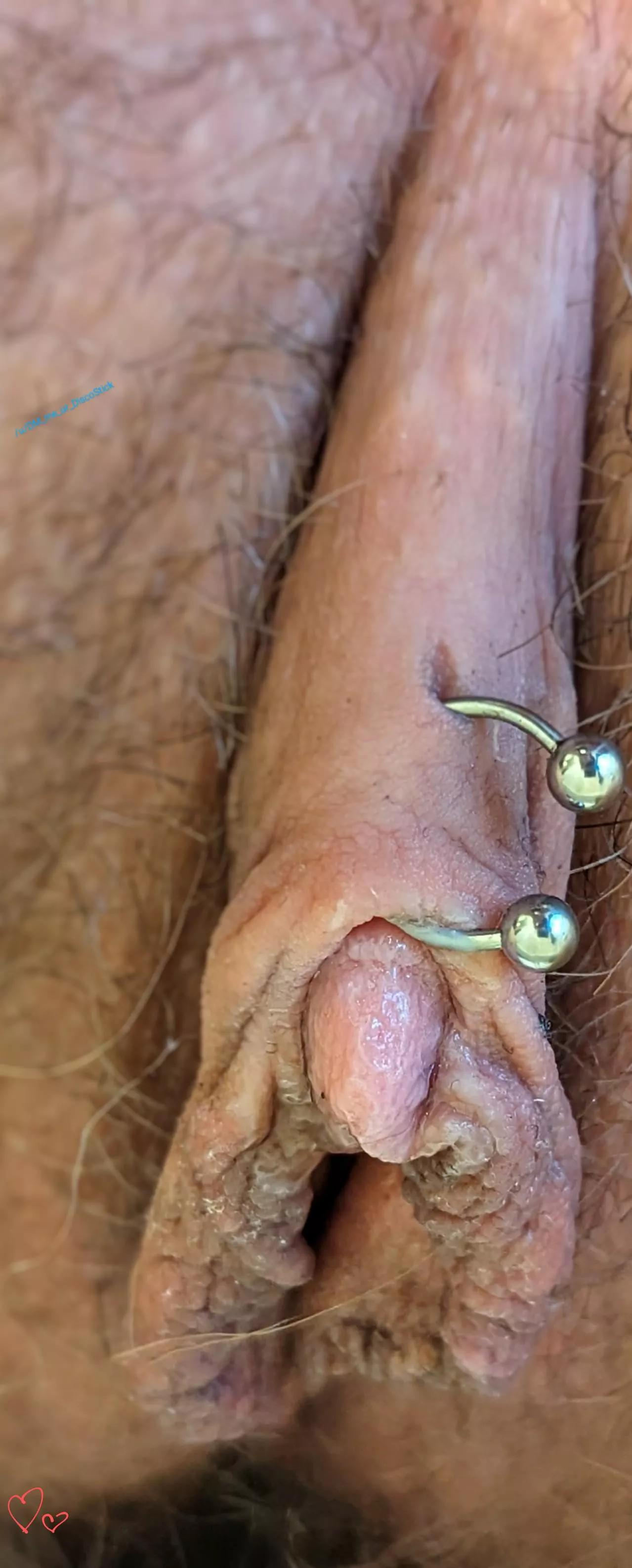 Just Applied a Fresh Coat... posted by DM_me_ur_DiscoStick