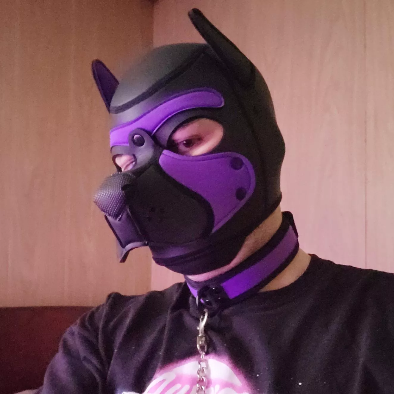 Just got a collar and it is so nice! 💜🖤 posted by Carver_Cassanova