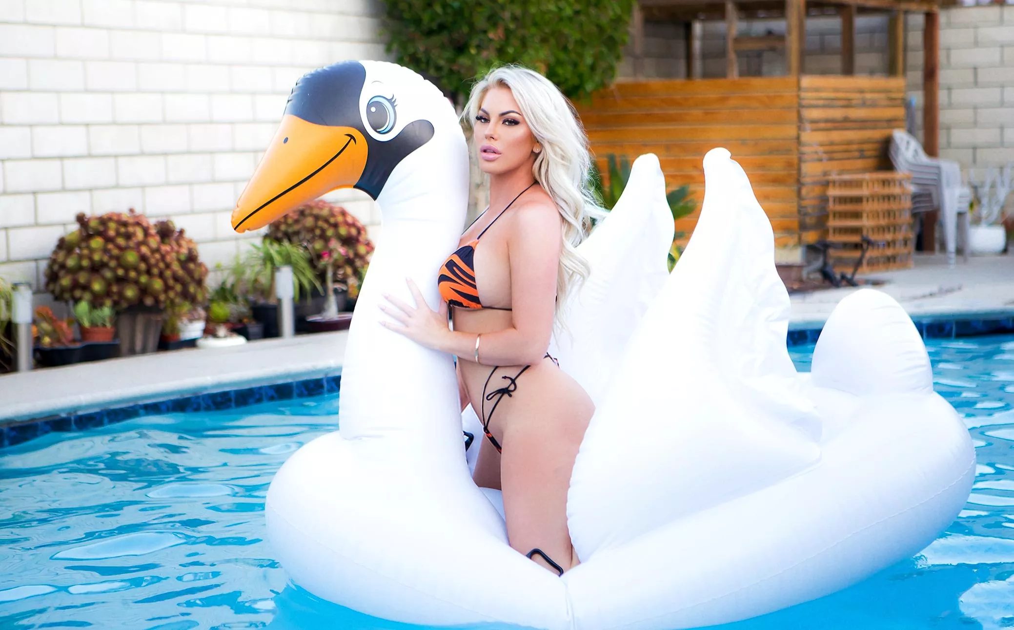 Let's have real fun in the pool. posted by SouthProtection7924