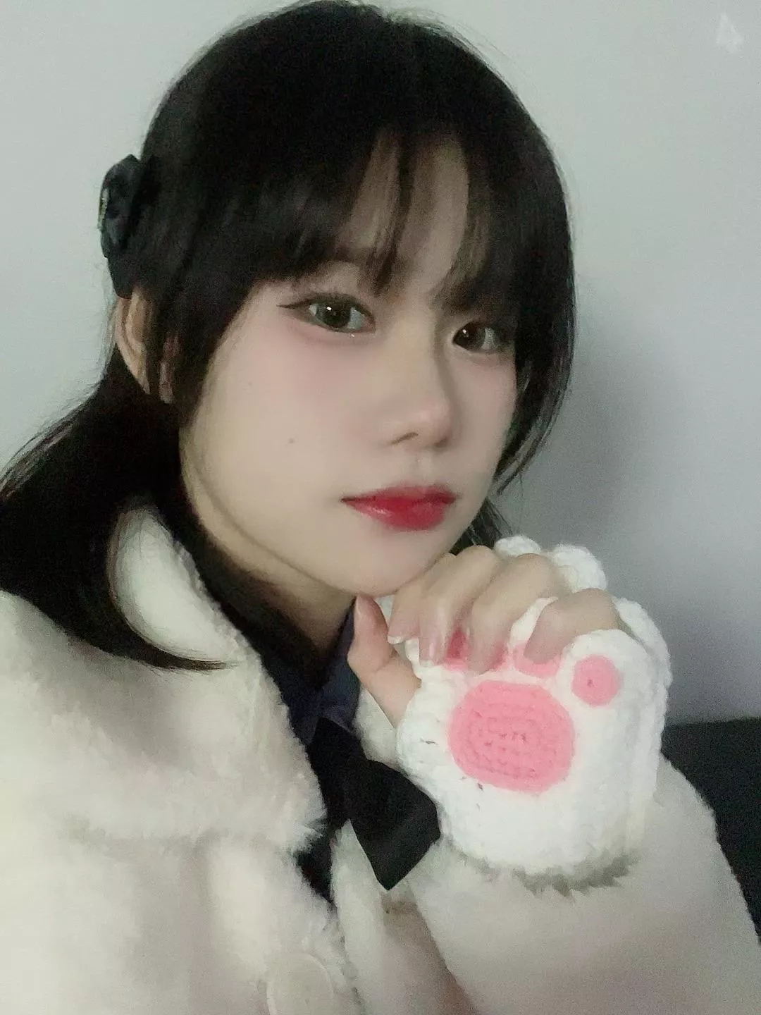 Looking for my cat lovers posted by PhotoWorth