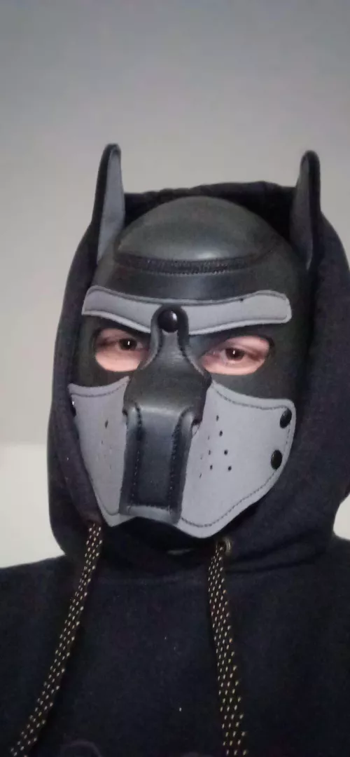 [M] New here, arf arf by BannedBecausePutin