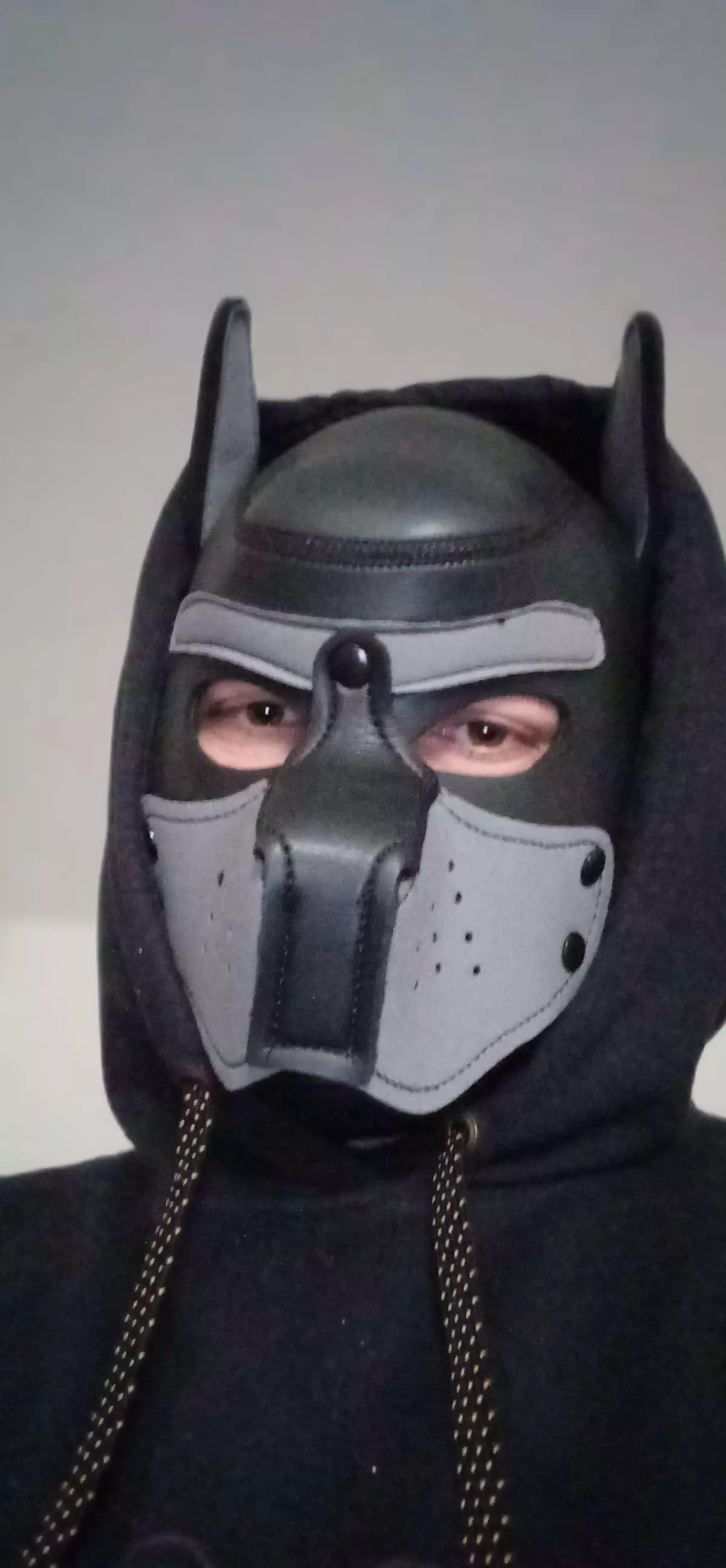 [M] New here, arf arf posted by BannedBecausePutin