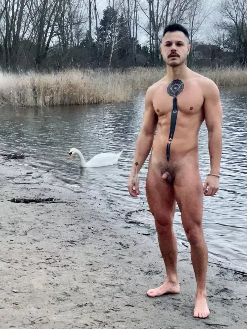 Noone else joined but the swan :) by n0aNo4