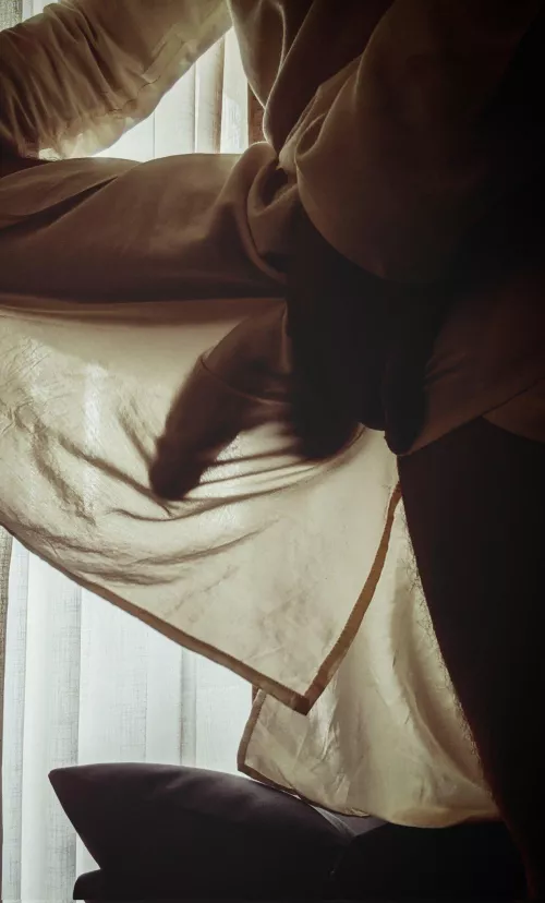 Silhouette of horse dick by Relative-Tooth-2564