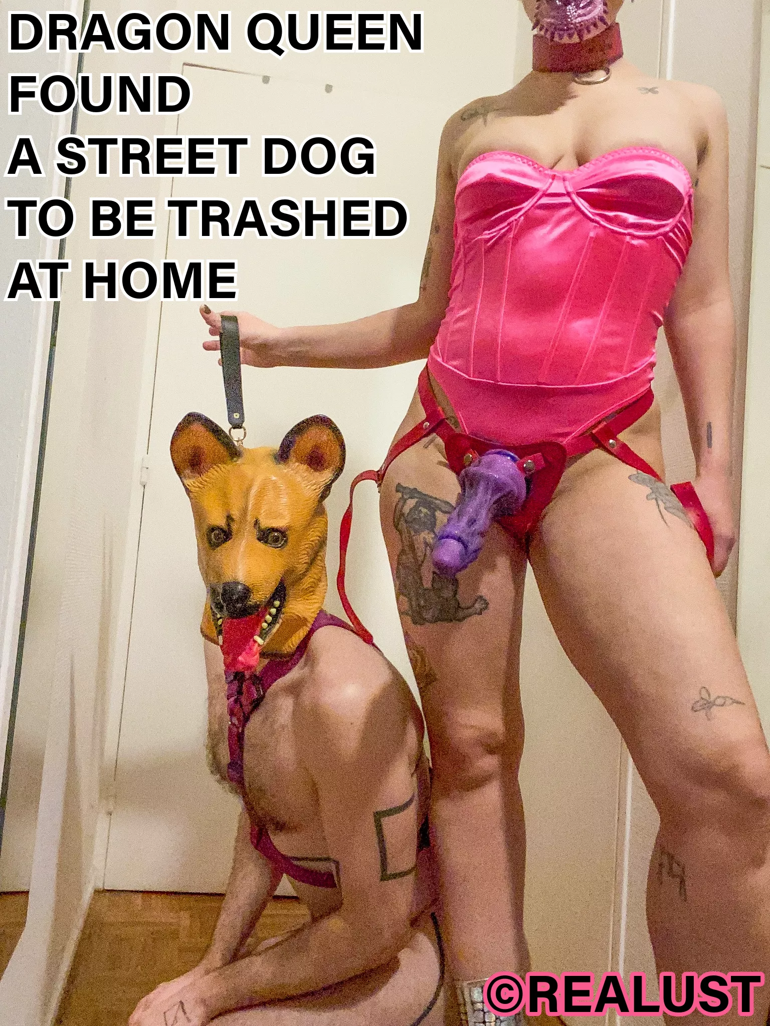 This dog thought of having found a refuge, not a dungeon posted by realust