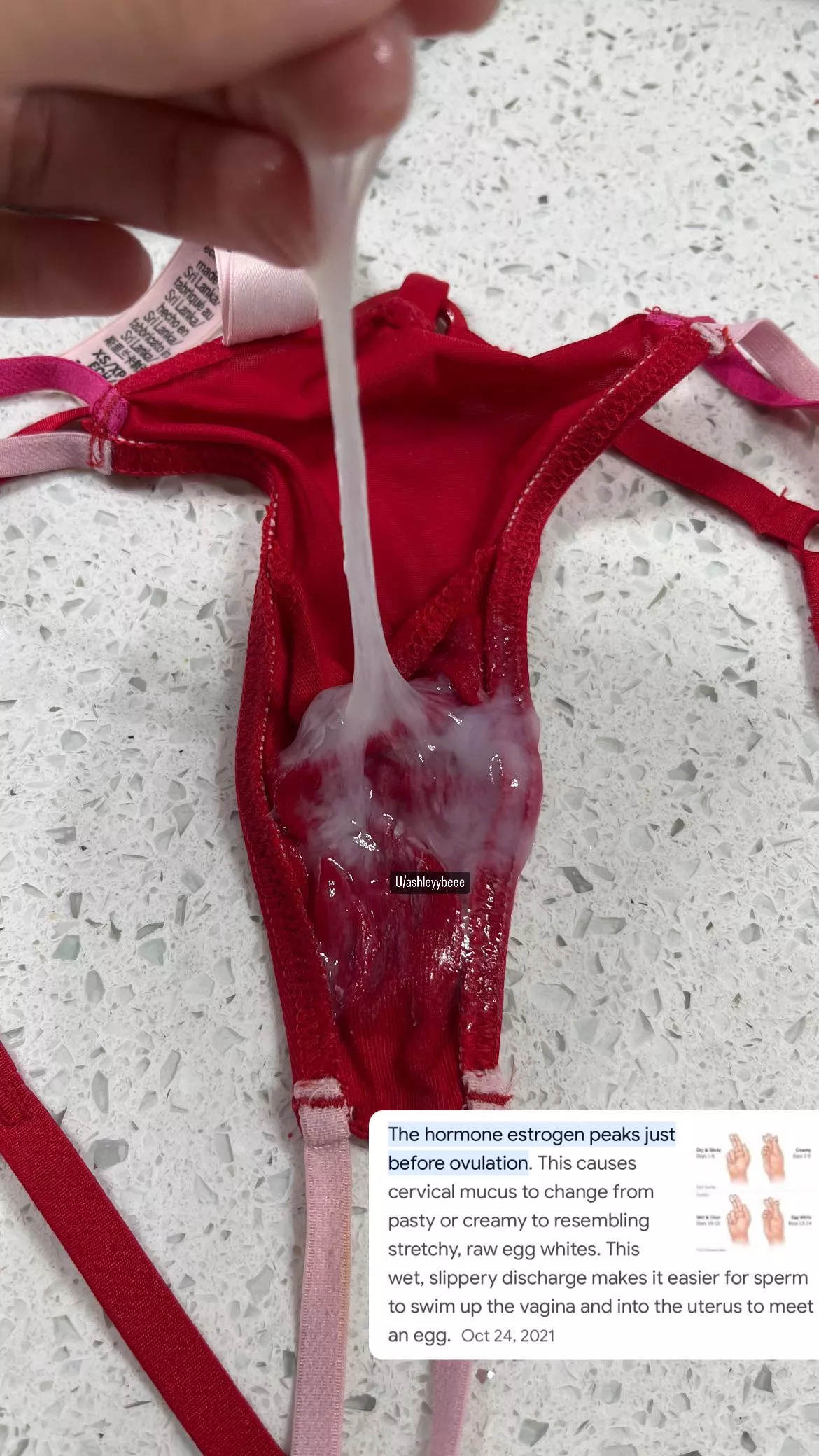 To answer some of your questions about my very full ovulation panties… posted by Ashleyybeee