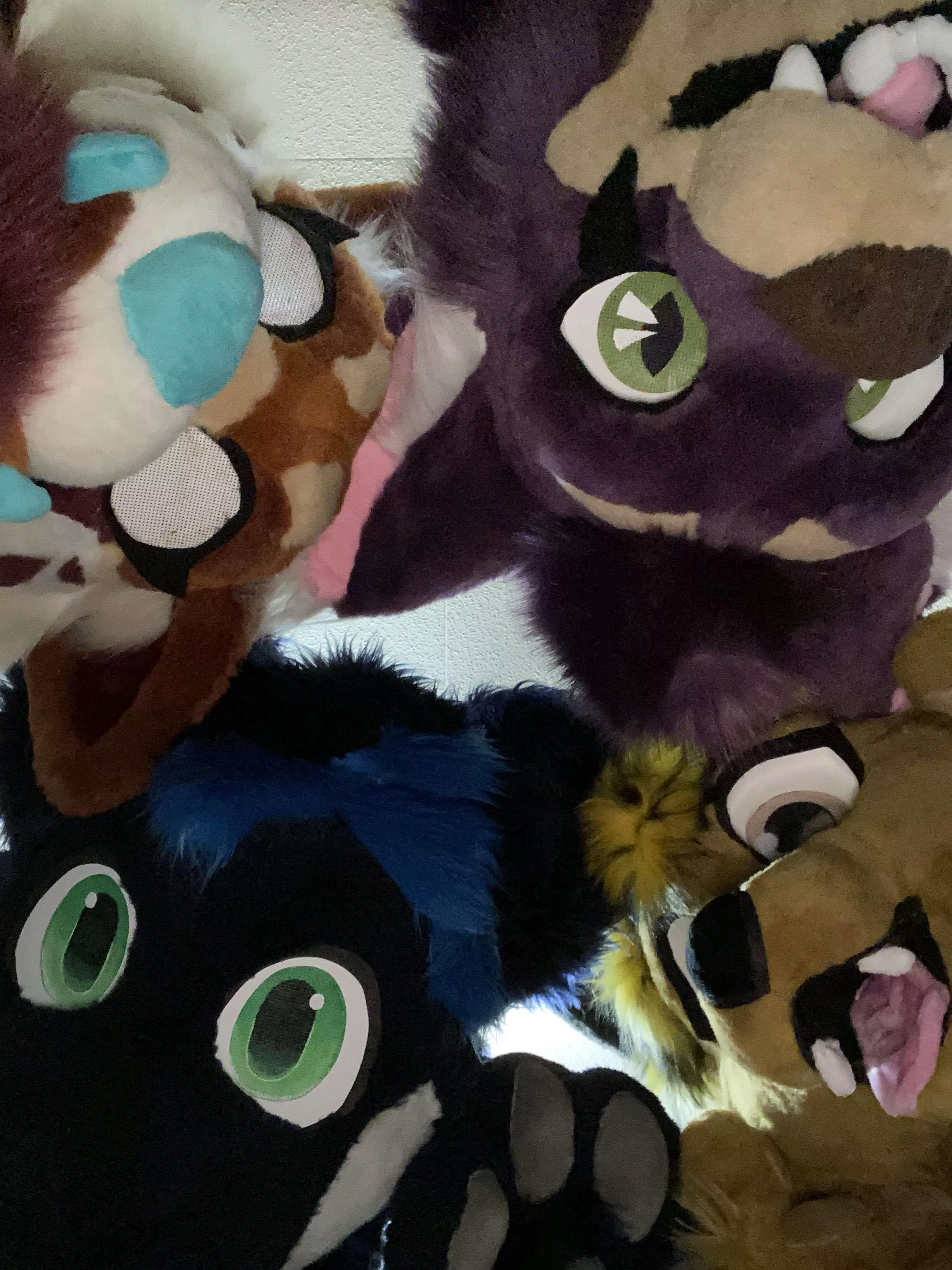 Took part in my first furmeet today, and with locals nonetheless! posted by Jayn_Xyos