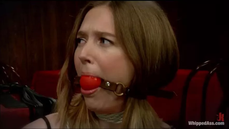 Type of Ballgag? by Upset-Equivalent-947