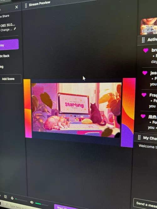 Why is twitch adding this default border on the sides of my OBS studio scenes? How do I fix this? by Federal_Bobcat4564