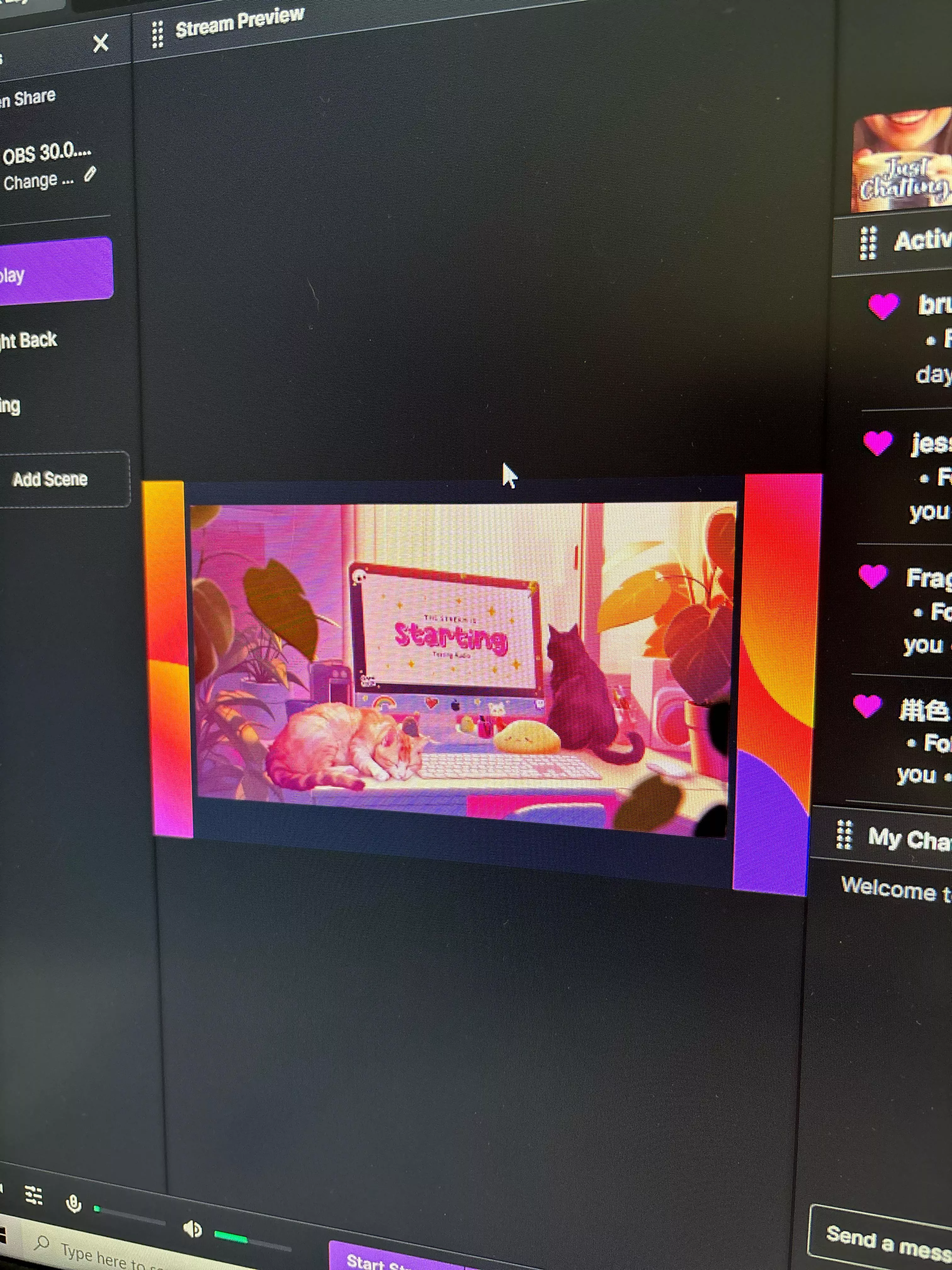 Why is twitch adding this default border on the sides of my OBS studio scenes? How do I fix this? posted by Federal_Bobcat4564